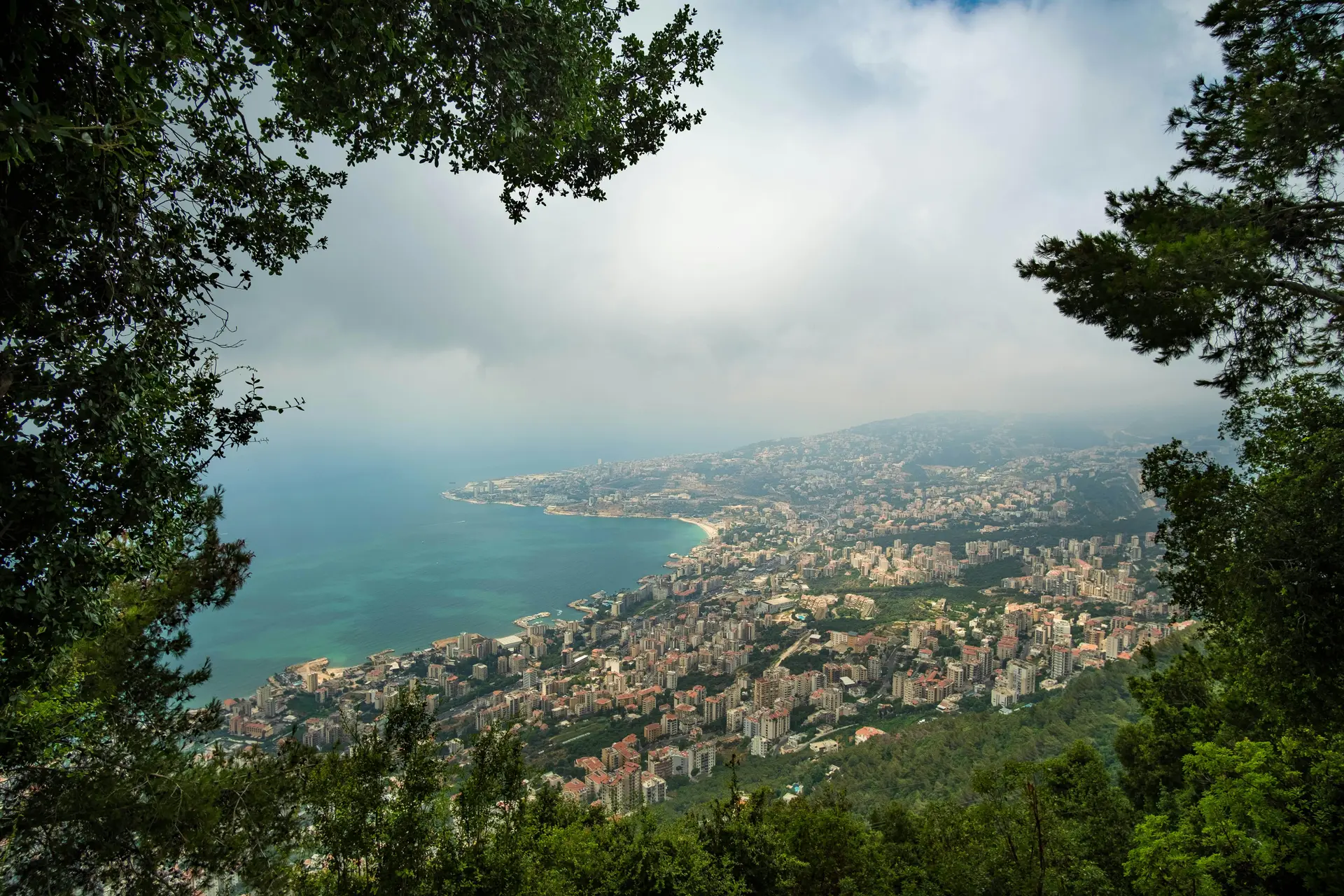 Lebanon's coastline viewed through cedar branches from the Harissa overlook